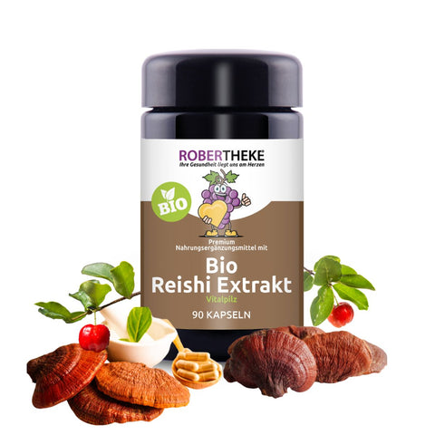 Bio Reishi goba izvleček 420 mg | 90 Kapsul